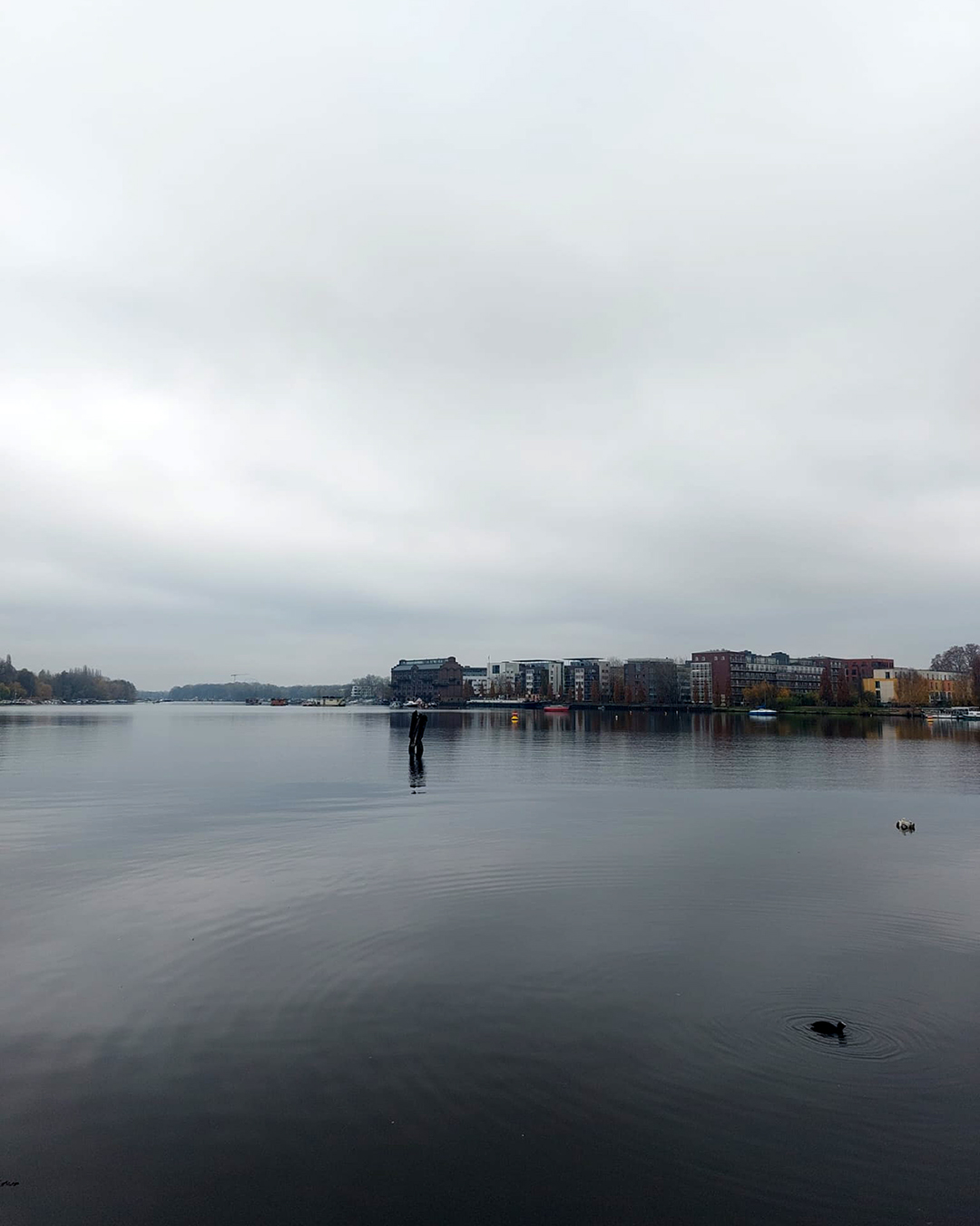 Relato de Experiência de Daniela Basto – Intercâmbio em Berlim