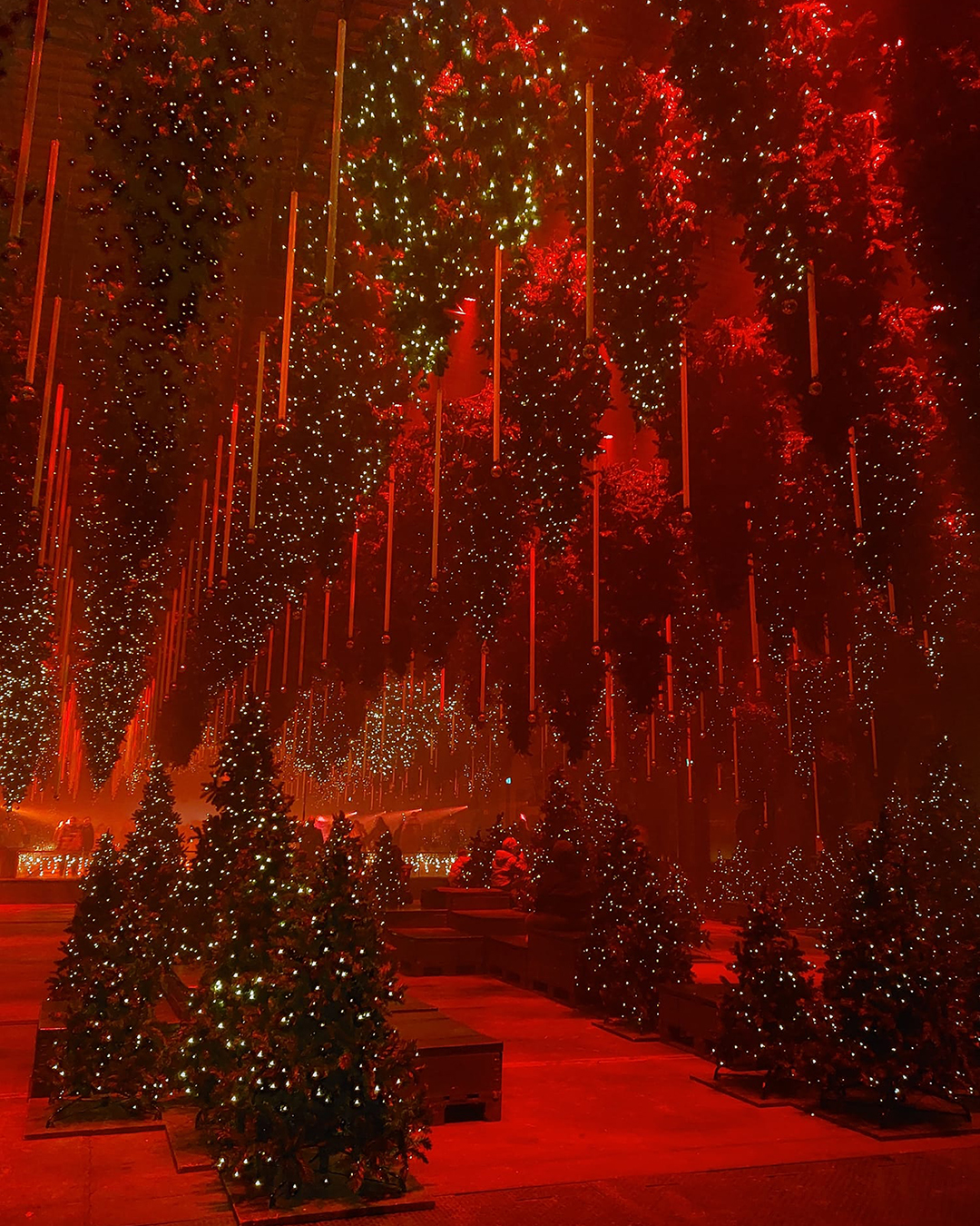 Relato de Experiência de Daniela Basto – Intercâmbio em Berlim